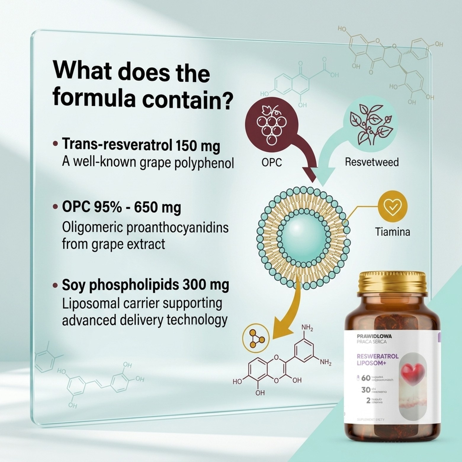 Resveratrol Liposom+ - Grape Vine 95% OPC in Liposomal Technology