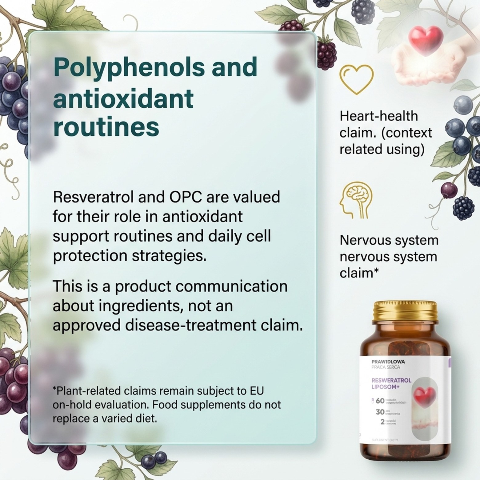 Resveratrol Liposom+ - Grape Vine 95% OPC in Liposomal Technology