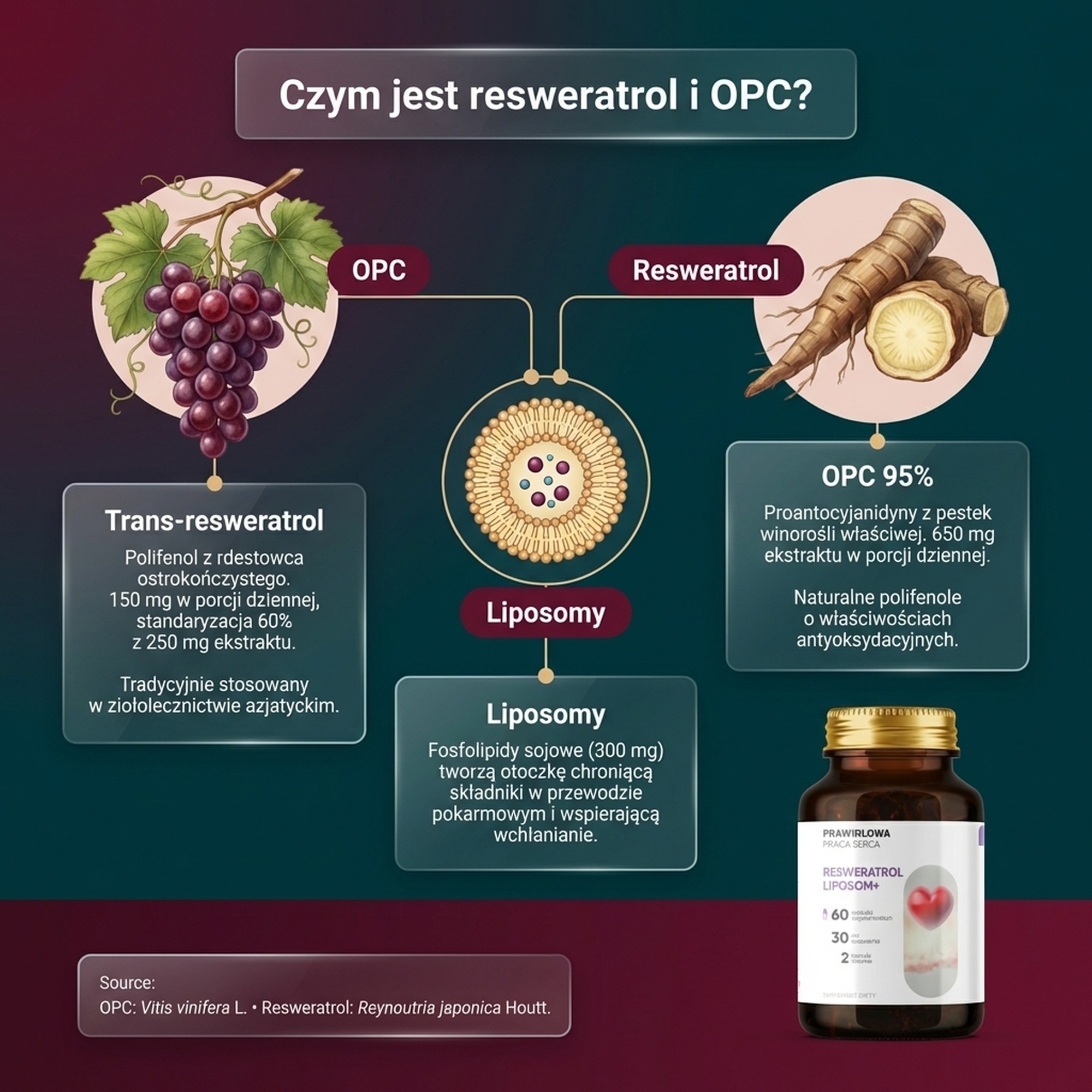 Resweratrol Liposom+ - Winorośl 95% OPC w technologii liposomalnej