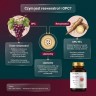 Resweratrol Liposom+ - Winorośl 95% OPC w technologii liposomalnej