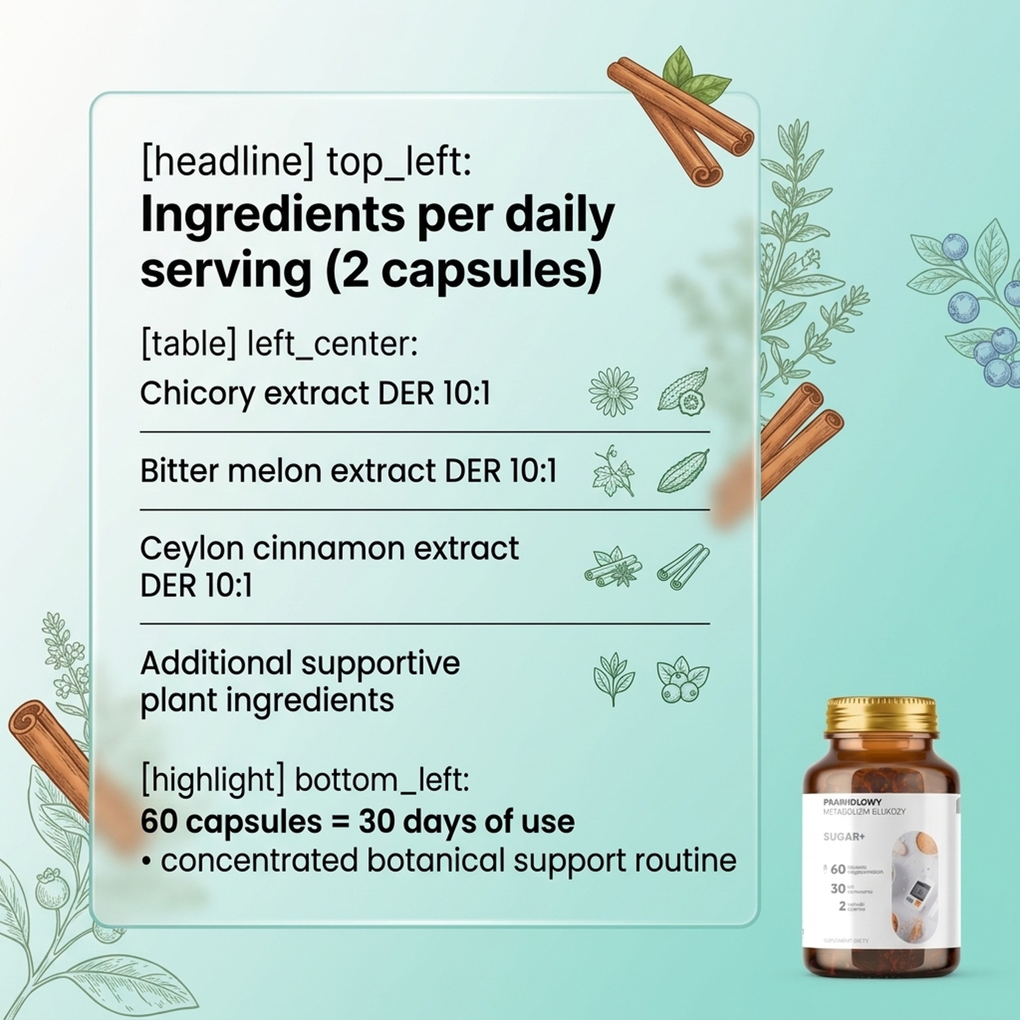 Ingredients in Sugar+ - Chicory + Bitter Melon + Cinnamon for Healthy Sugar Metabolism