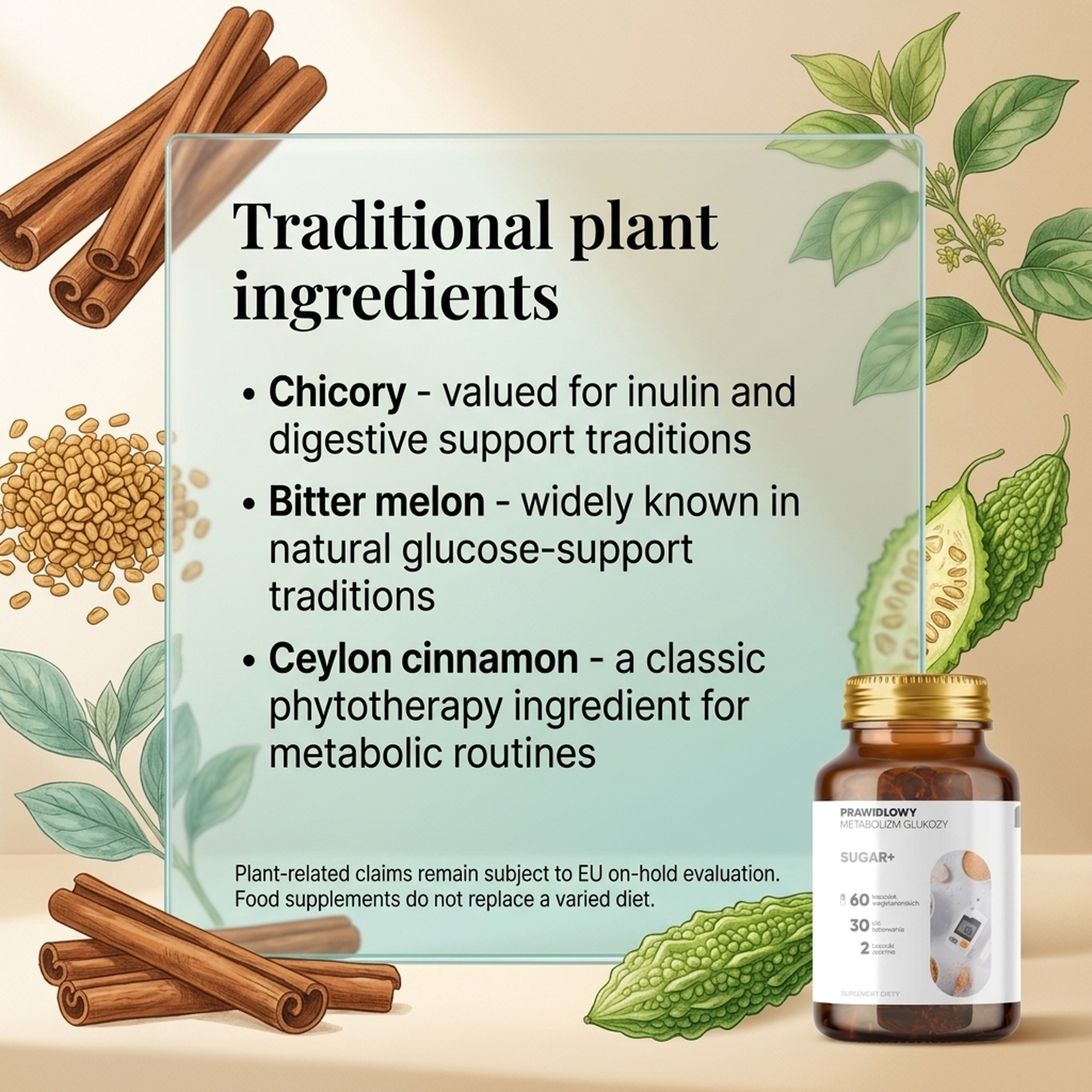Sugar+ - Chicory + Bitter Melon + Cinnamon for Healthy Sugar Metabolism