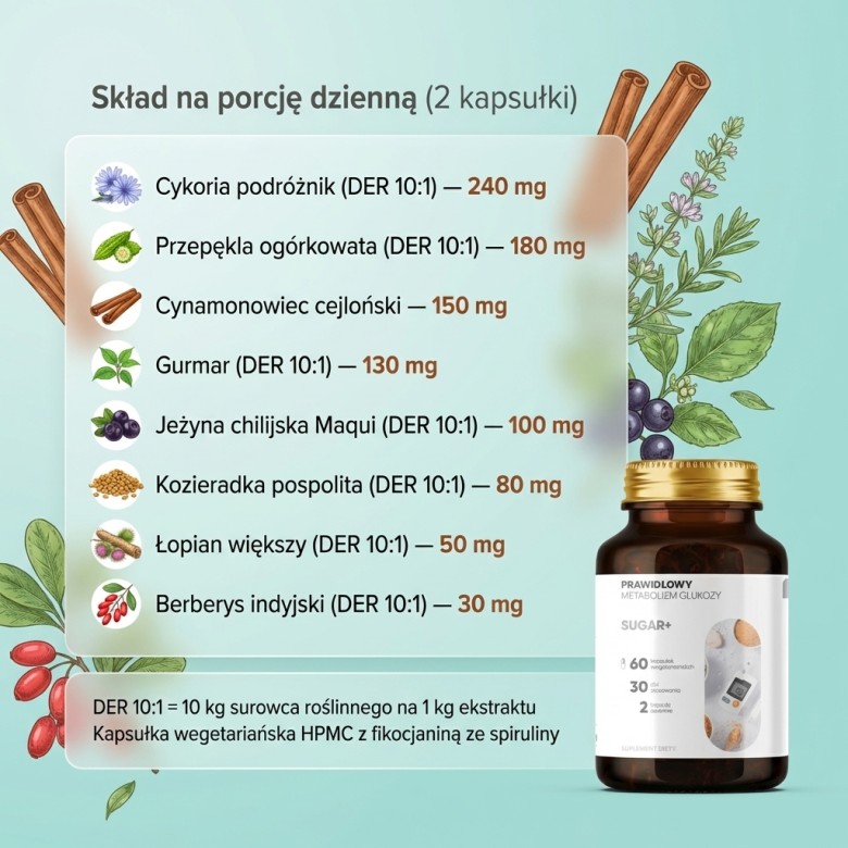 Skład - porcja dzienna