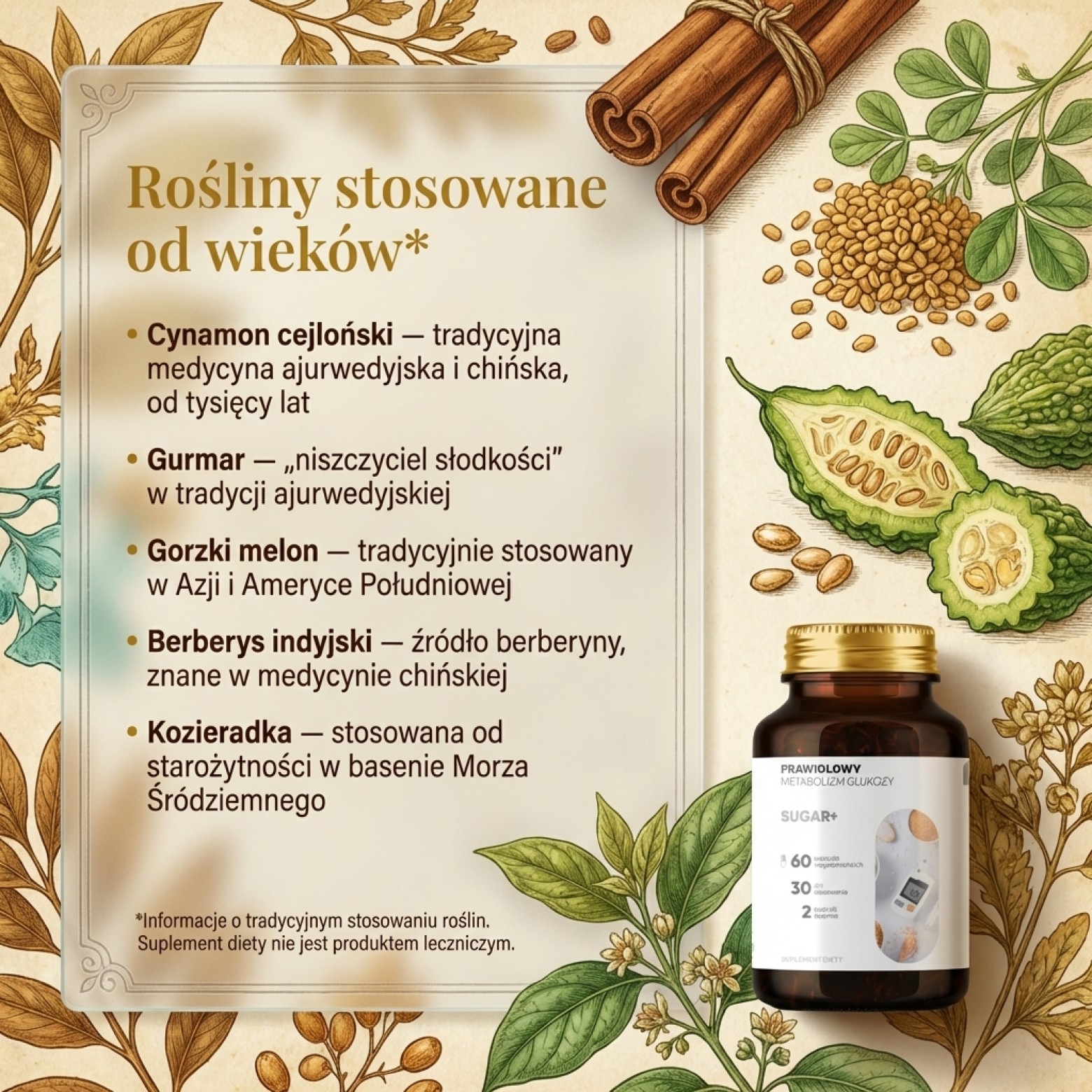 Sugar+ - Cykoria + Przepękla + Cynamonowiec na prawidłowy metabolizm cukru