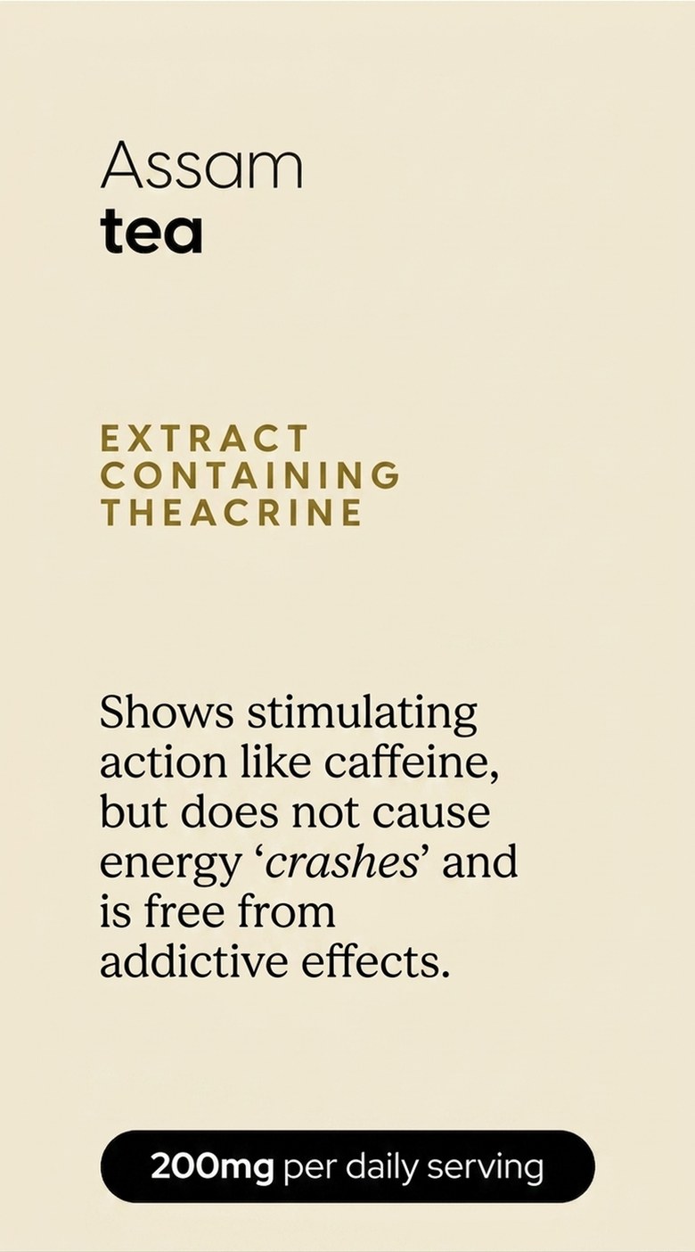 Multi ON 4-Pack - Full 2-month Herbal Course for Energy and Vitality