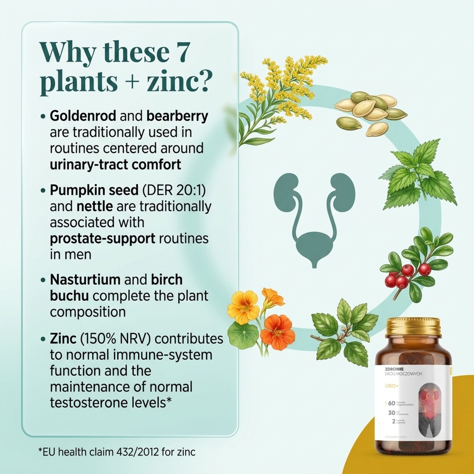 Uro+ - Goldenrod + Pumpkin + Nasturtium for Urinary Tract Health