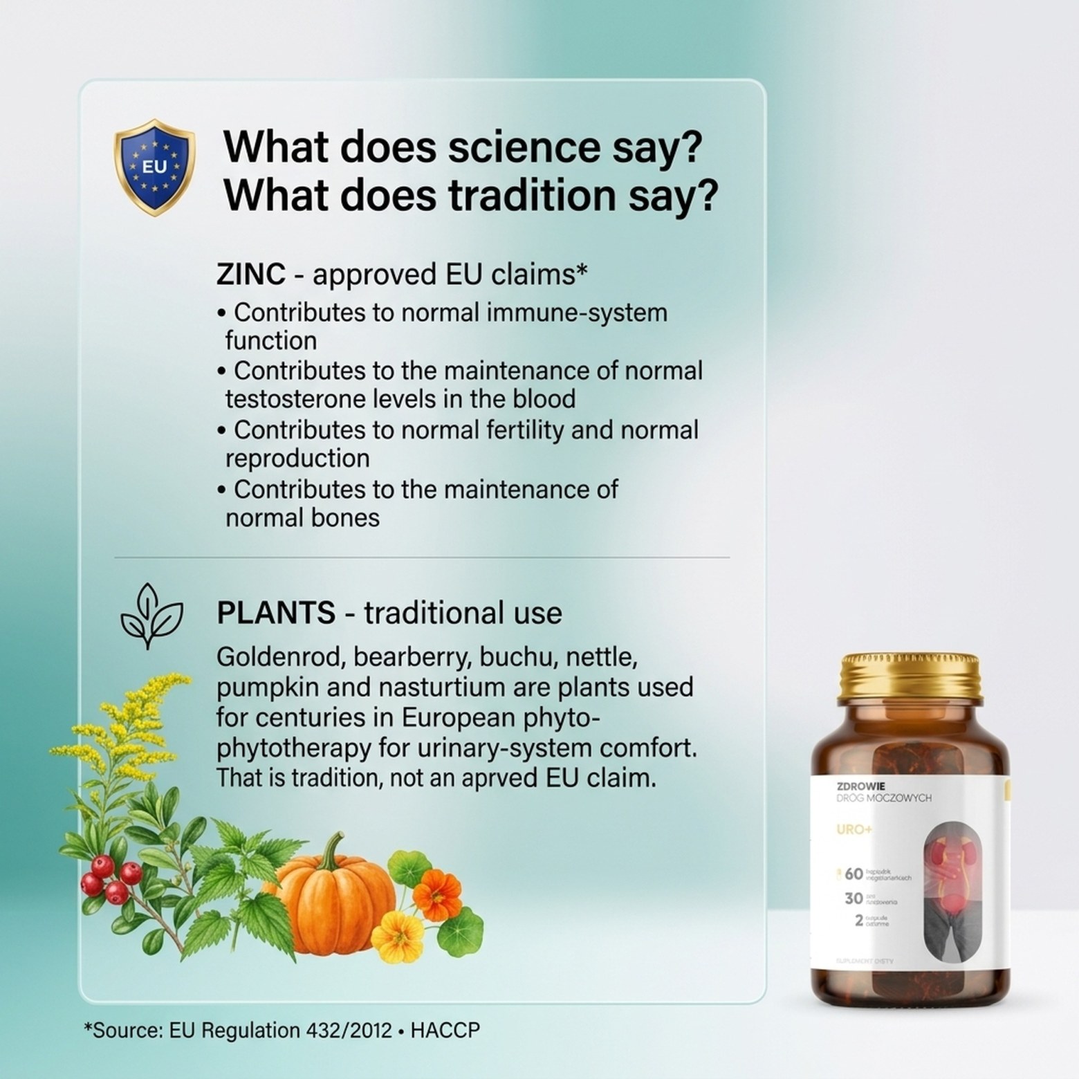 Uro+ - Goldenrod + Pumpkin + Nasturtium for Urinary Tract Health