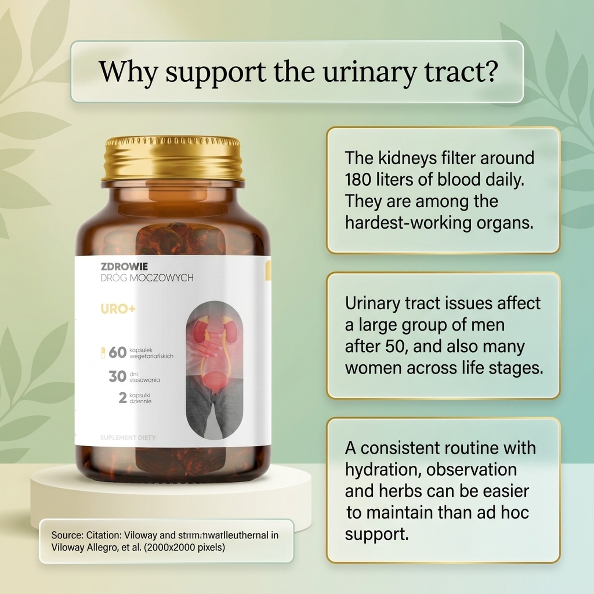 Uro Vitalis - Punarnava + Nettle + Pumpkin Seed for Urinary Routine