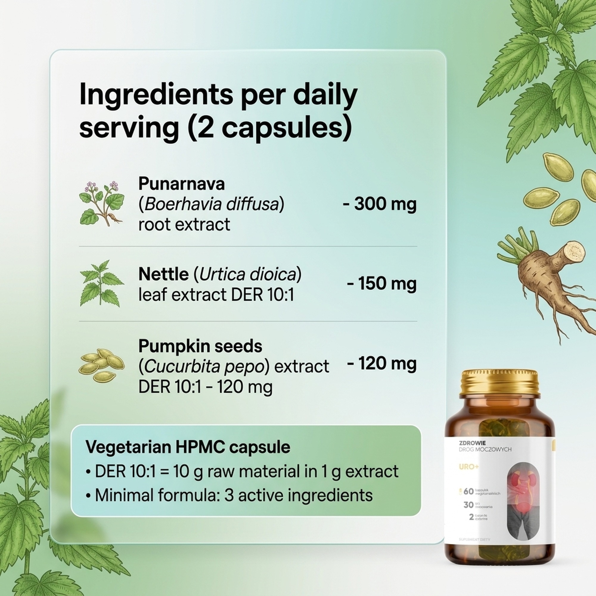 Ingredients in Uro Vitalis - Punarnava + Nettle + Pumpkin Seed for Urinary Routine