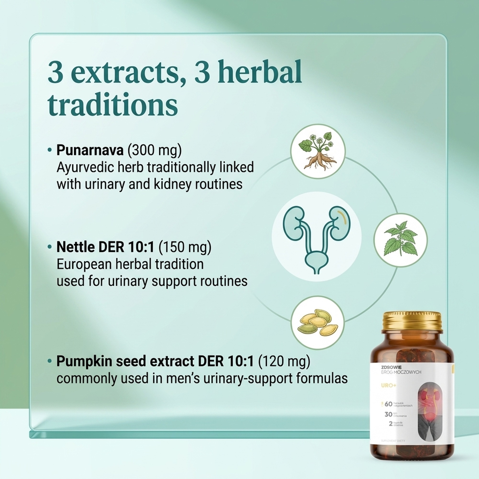 Uro Vitalis - Punarnava + Nettle + Pumpkin Seed for Urinary Routine
