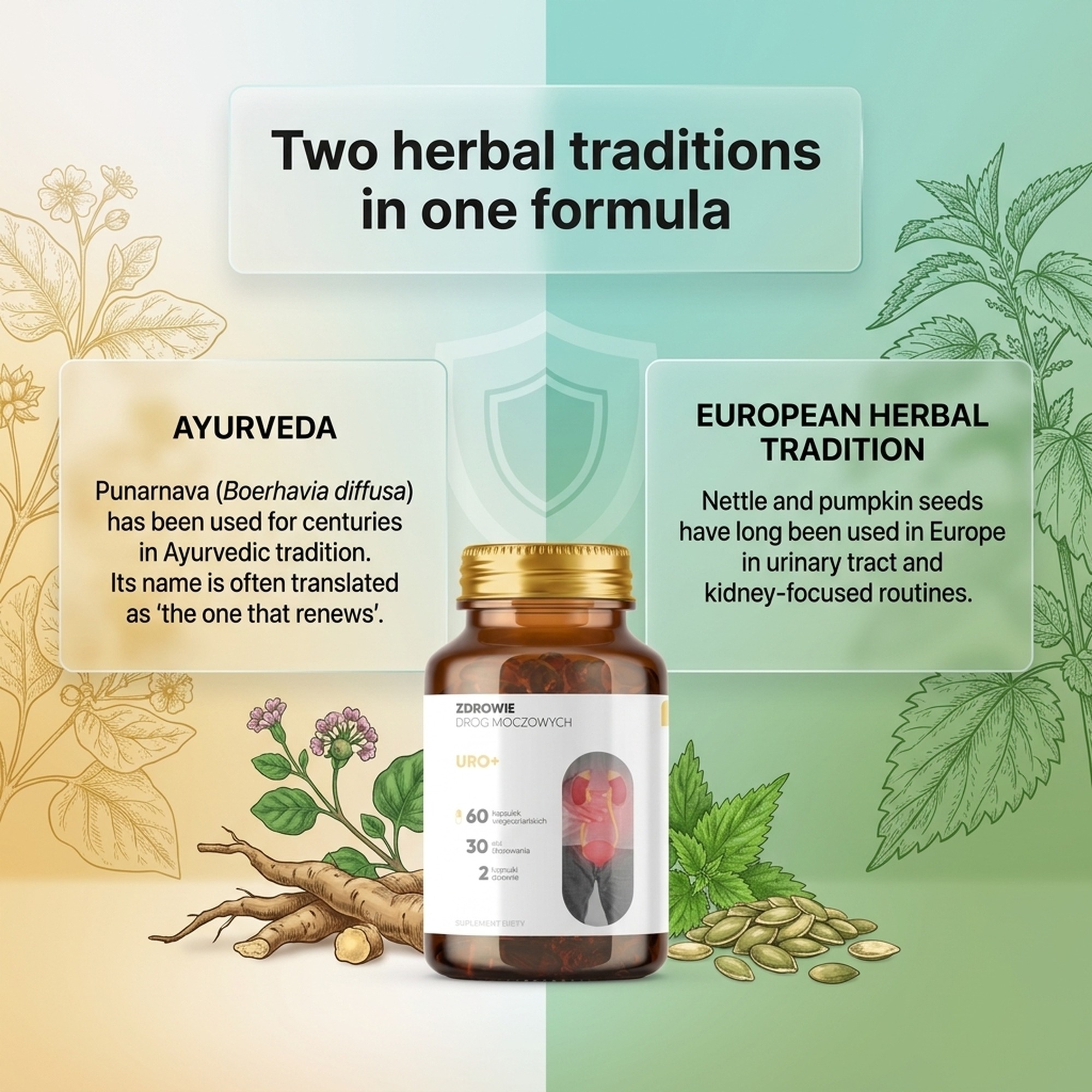 Uro Vitalis - Punarnava + Nettle + Pumpkin Seed for Urinary Routine