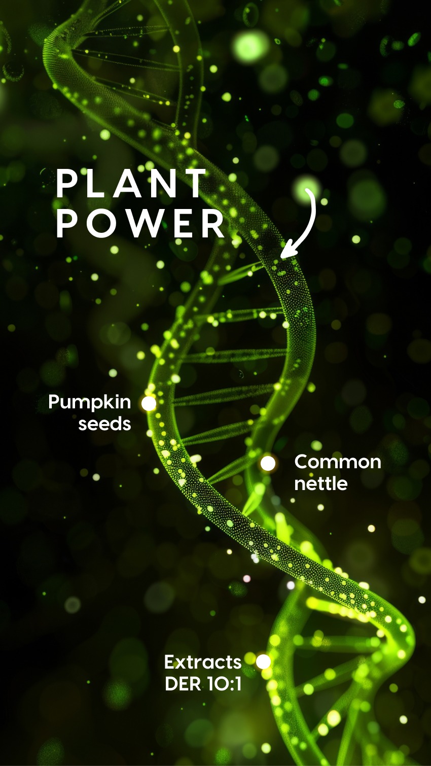 Uro Vitalis - Punarnava + Nettle + Pumpkin Seed for Urinary Routine — story 3