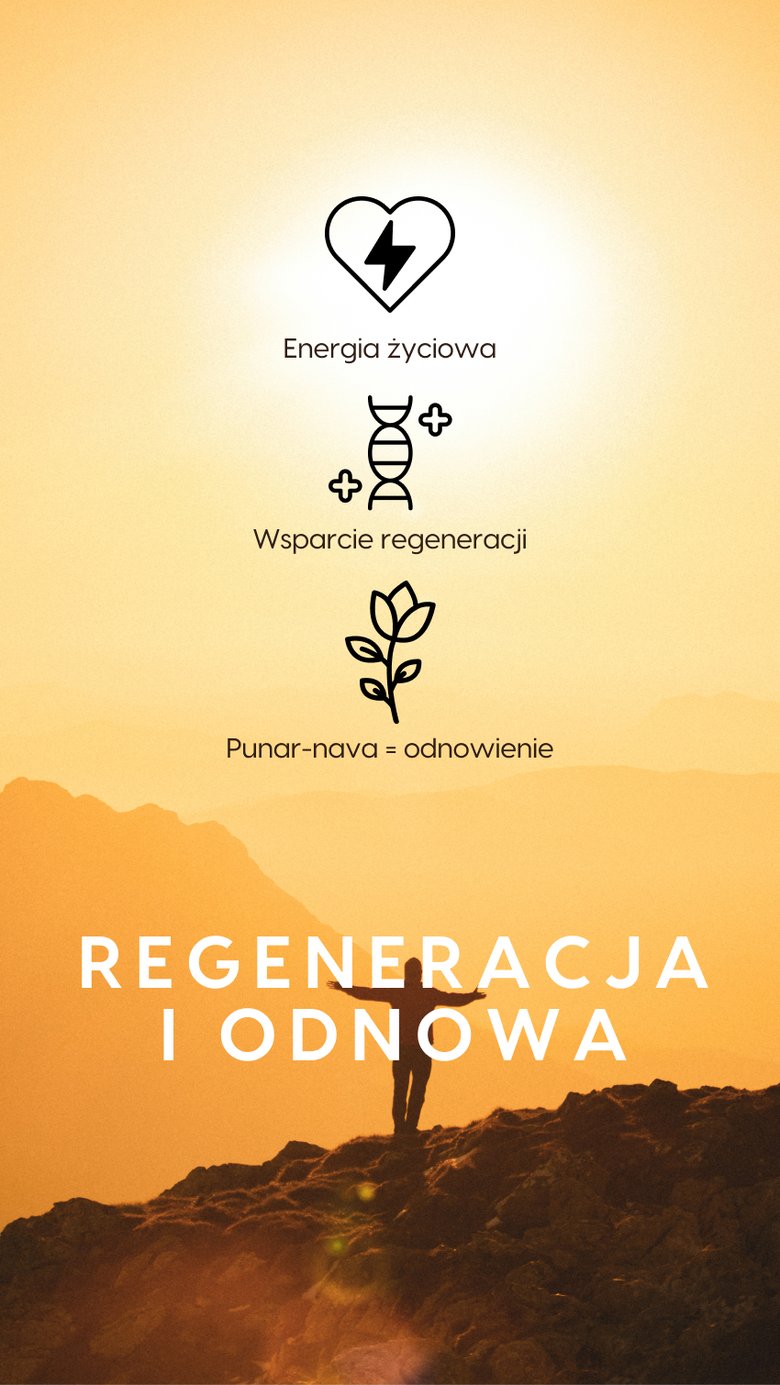 Uro Vitalis - Punarnawa + Pokrzywa + Nasiona dyni na układ moczowy