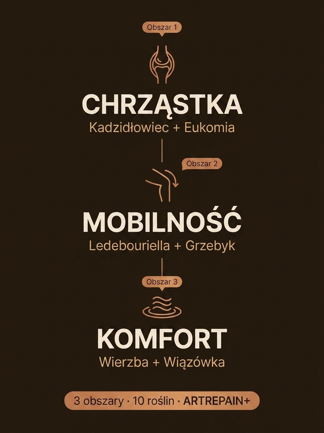 Dla kogo Artrepain+