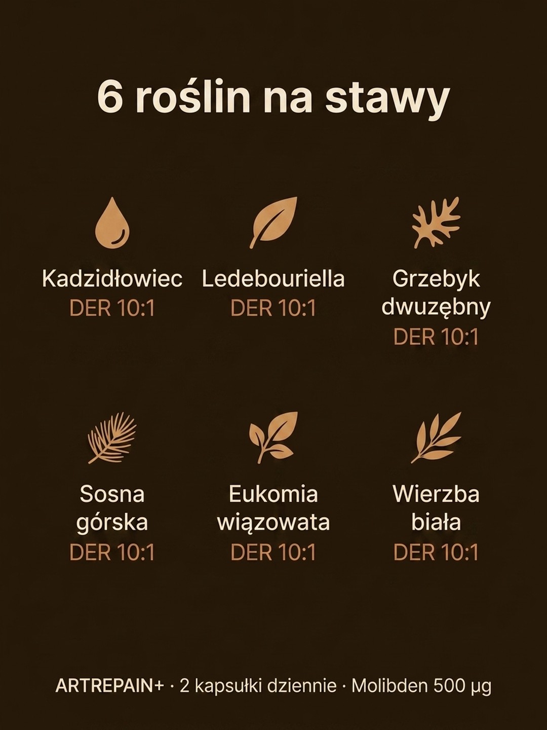 Dla kogo Artrepain+