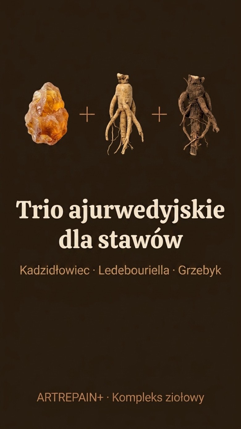 Artrepain+ - Kadzidłowiec + Ledebouriella + Grzebyk dwuzębny na stawy