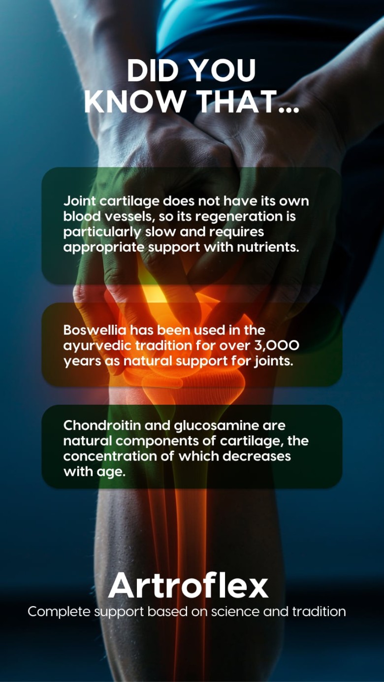 Artroflex - Chondroitin + Opti Artis + Collagen + Boswellia - Syrup