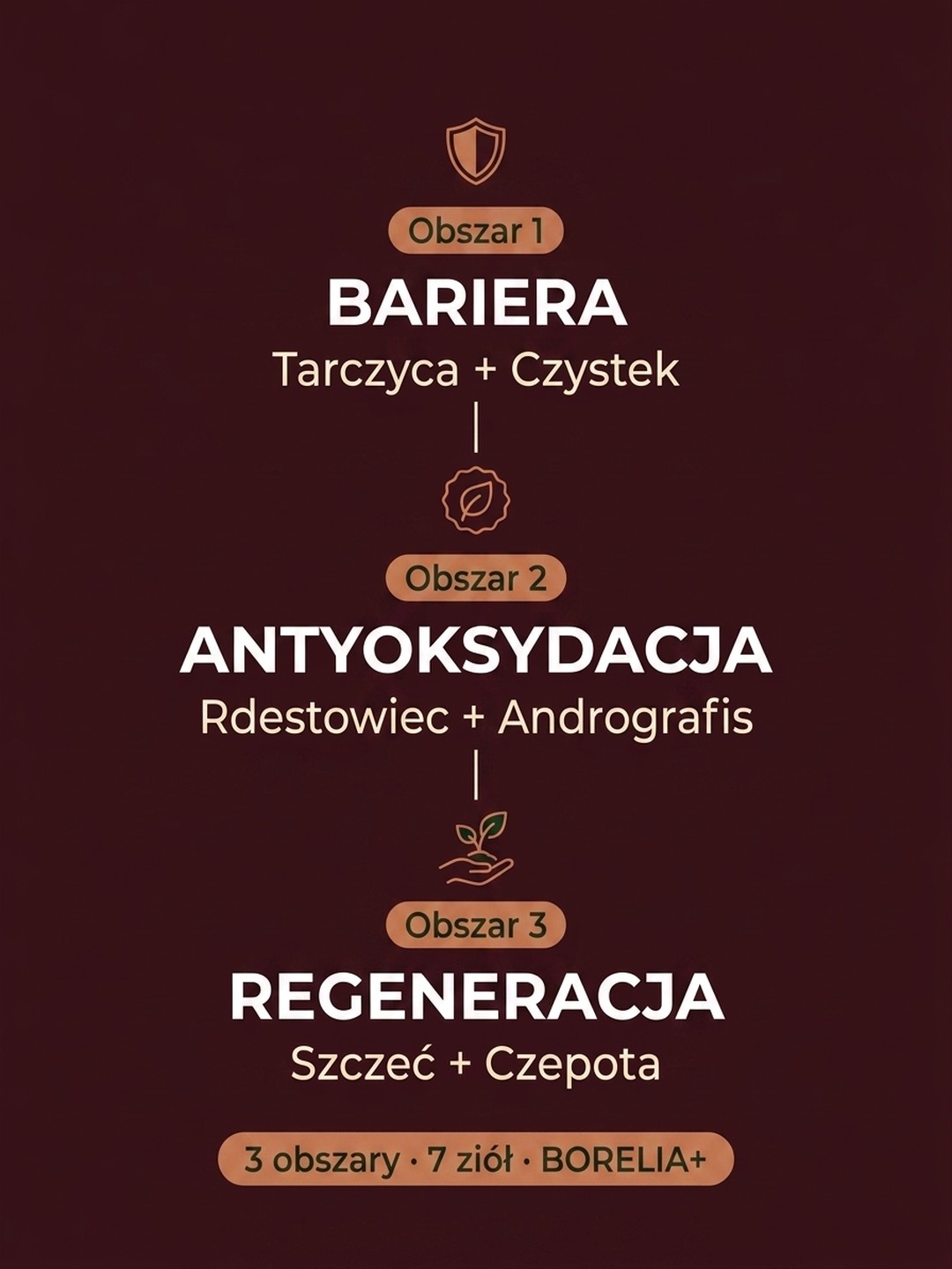 Dla kogo jest Borelia+
