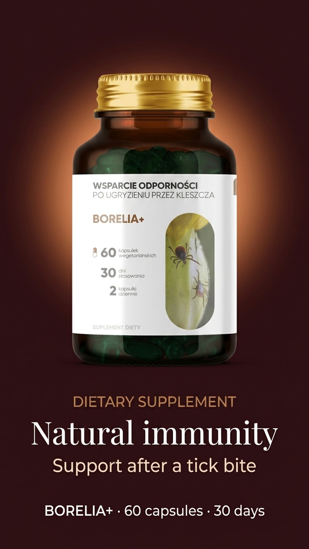 Borelia+ - Baikal Skullcap + Rock Rose + Teasel in a botanical formula — story 1