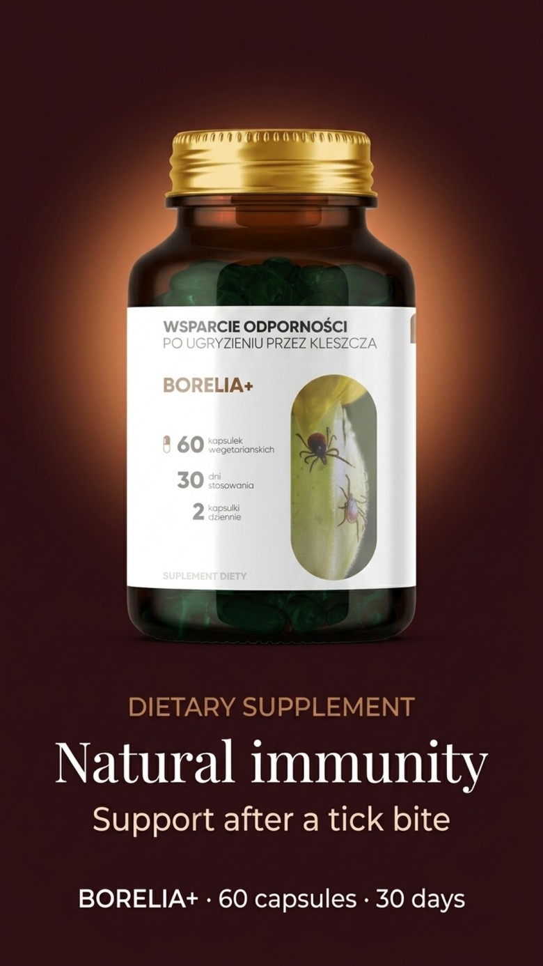 Borelia+ - Baikal Skullcap + Rock Rose + Teasel for Immune Support
