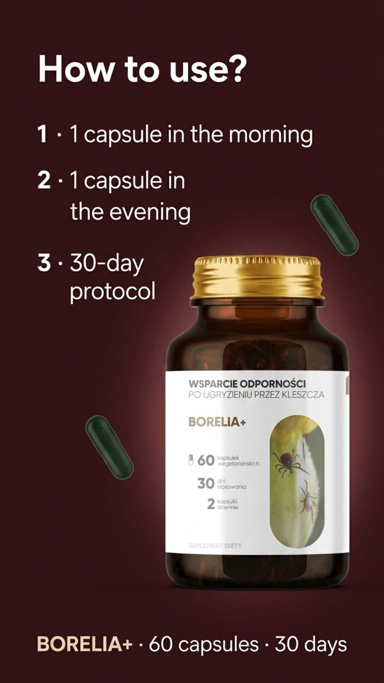 Borelia+ - Baikal Skullcap + Rock Rose + Teasel for Immune Support