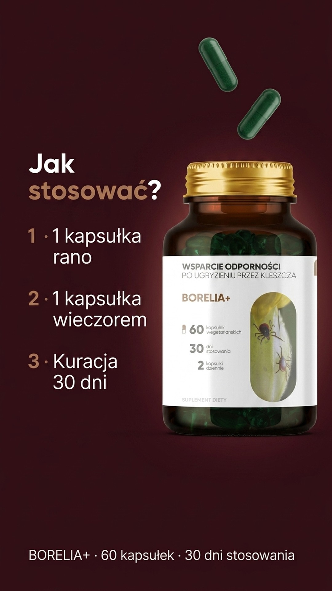 Dla kogo jest Borelia+