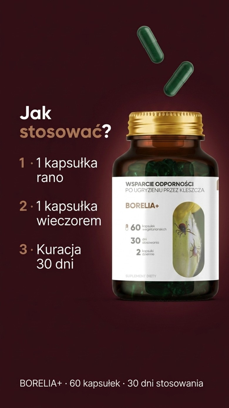 Borelia+ - Tarczyca bajkalska + Czystek + Szczeć na wsparcie odporności