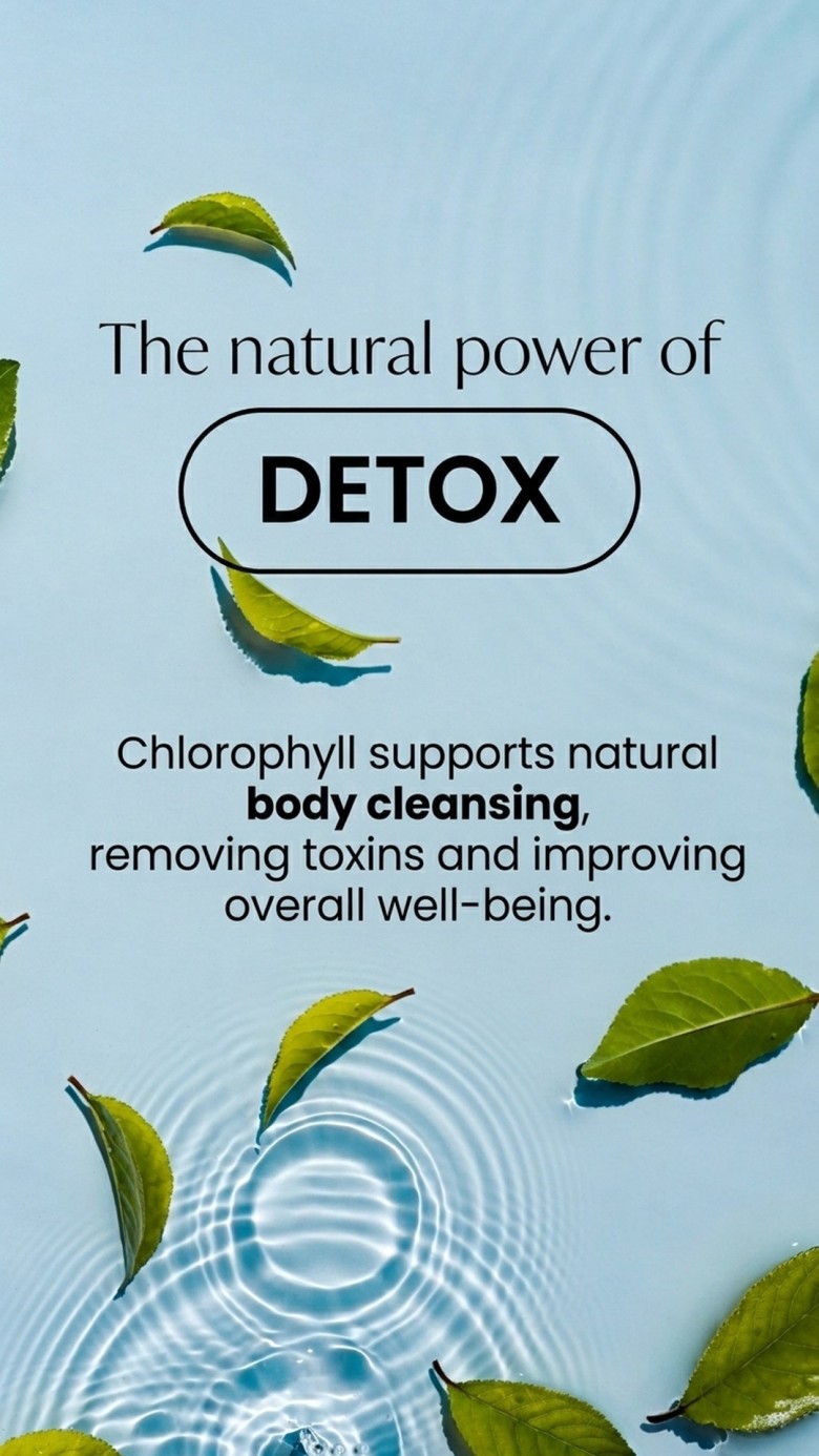 Chlorophil Liposom+ - Chlorophyll + Oat + Alfalfa for Detox and Alkalization