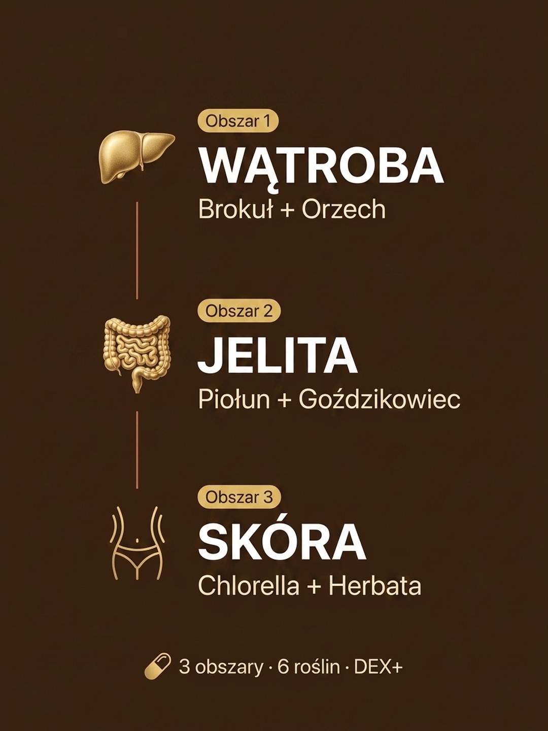 Dla kogo Dex+