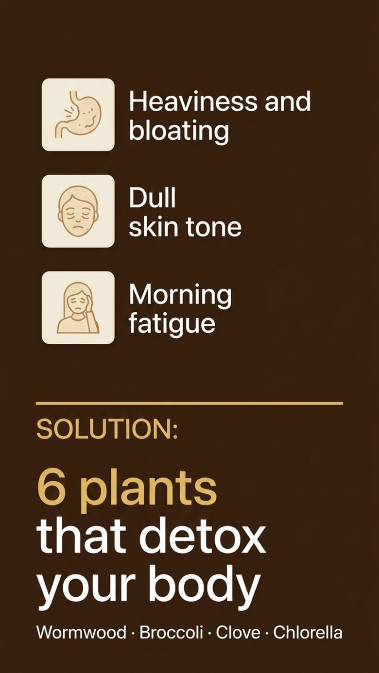 Dex+ - Wormwood + Broccoli + Clove Tree for Body Detox