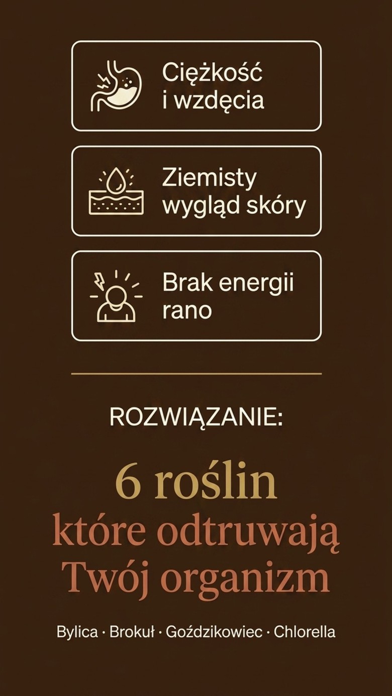Dex+ - Bylica + Brokuł + Goździkowiec na oczyszczanie organizmu