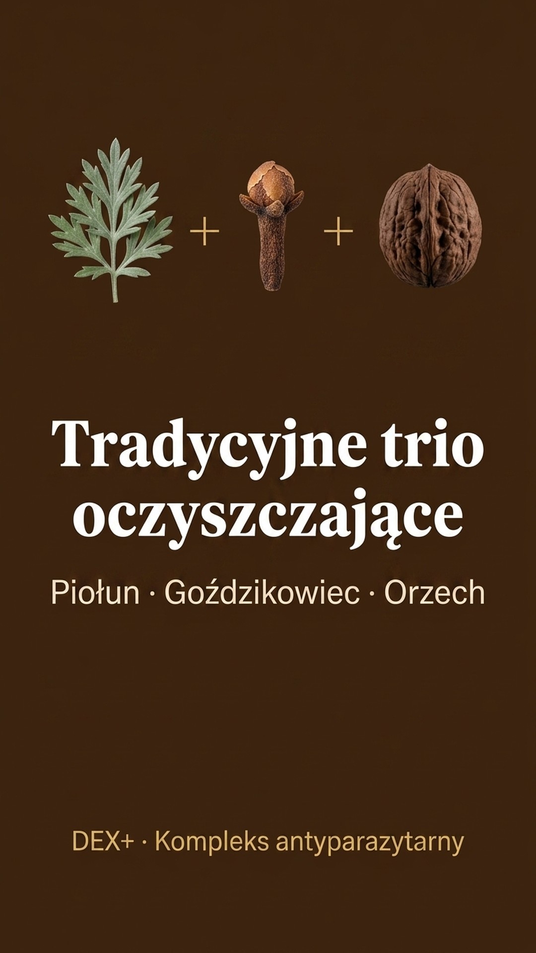 Dex+ - Bylica + Brokuł + Goździkowiec na oczyszczanie organizmu — story 4