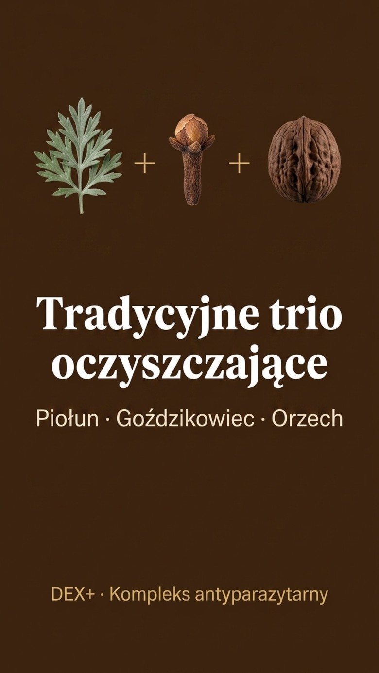 Dex+ - Bylica + Brokuł + Goździkowiec na oczyszczanie organizmu