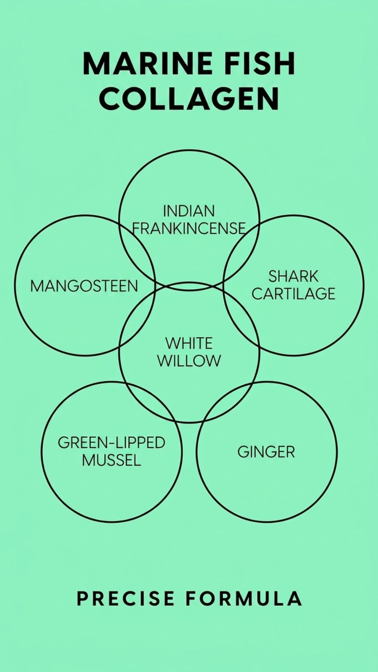 Flexpain+ - White Willow + Boswellia + Mangosteen for Healthy Joints