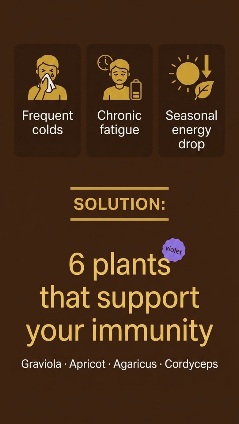 Immuno NR+ - Graviola + Apricot + Agaricus for Immune Support