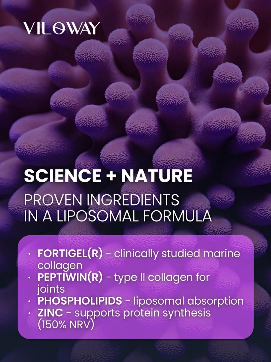 Who is Collagen Liposom+ Blueberry for?