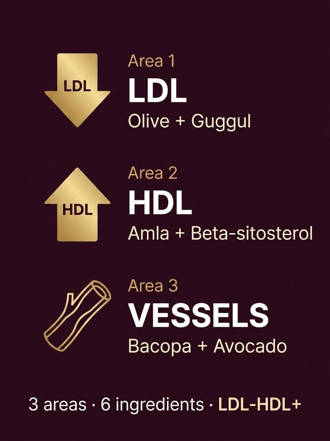 Who is LDL-HDL+ for?