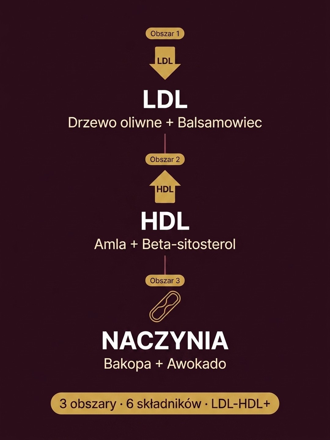 Dla kogo LDL-HDL+