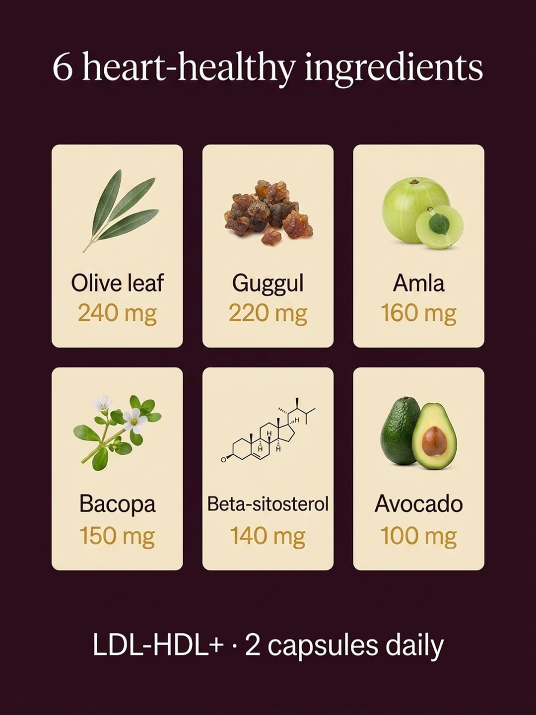 Who is LDL-HDL+ for?