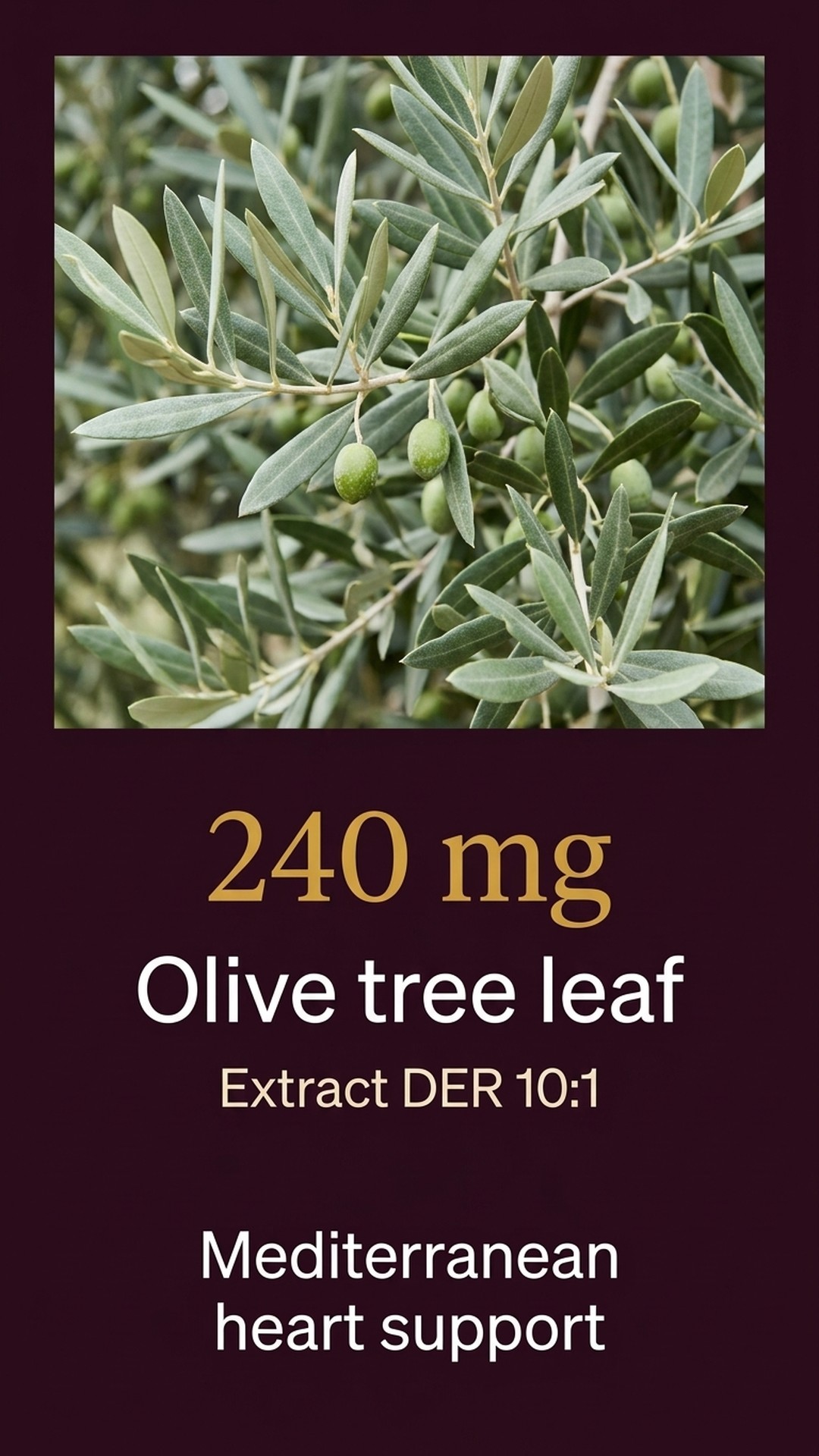 Who is LDL-HDL+ for?