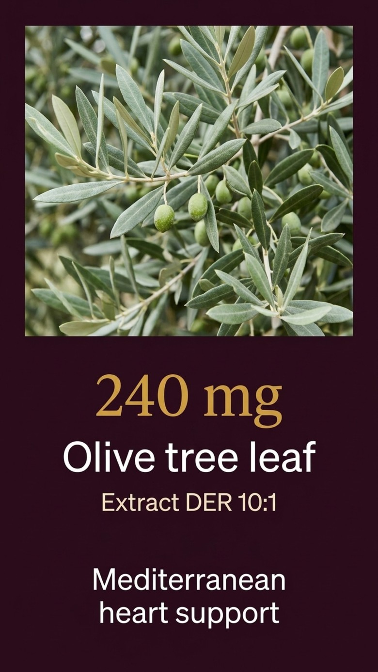 LDL-HDL+ - Olive Tree + Guggul + Amla for Healthy Cholesterol