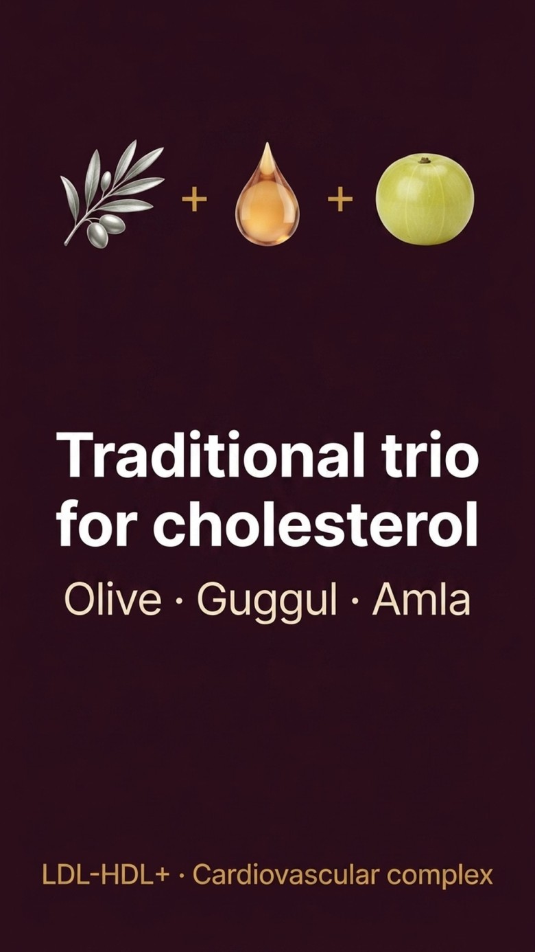 LDL-HDL+ - Olive Tree + Guggul + Amla for Healthy Cholesterol