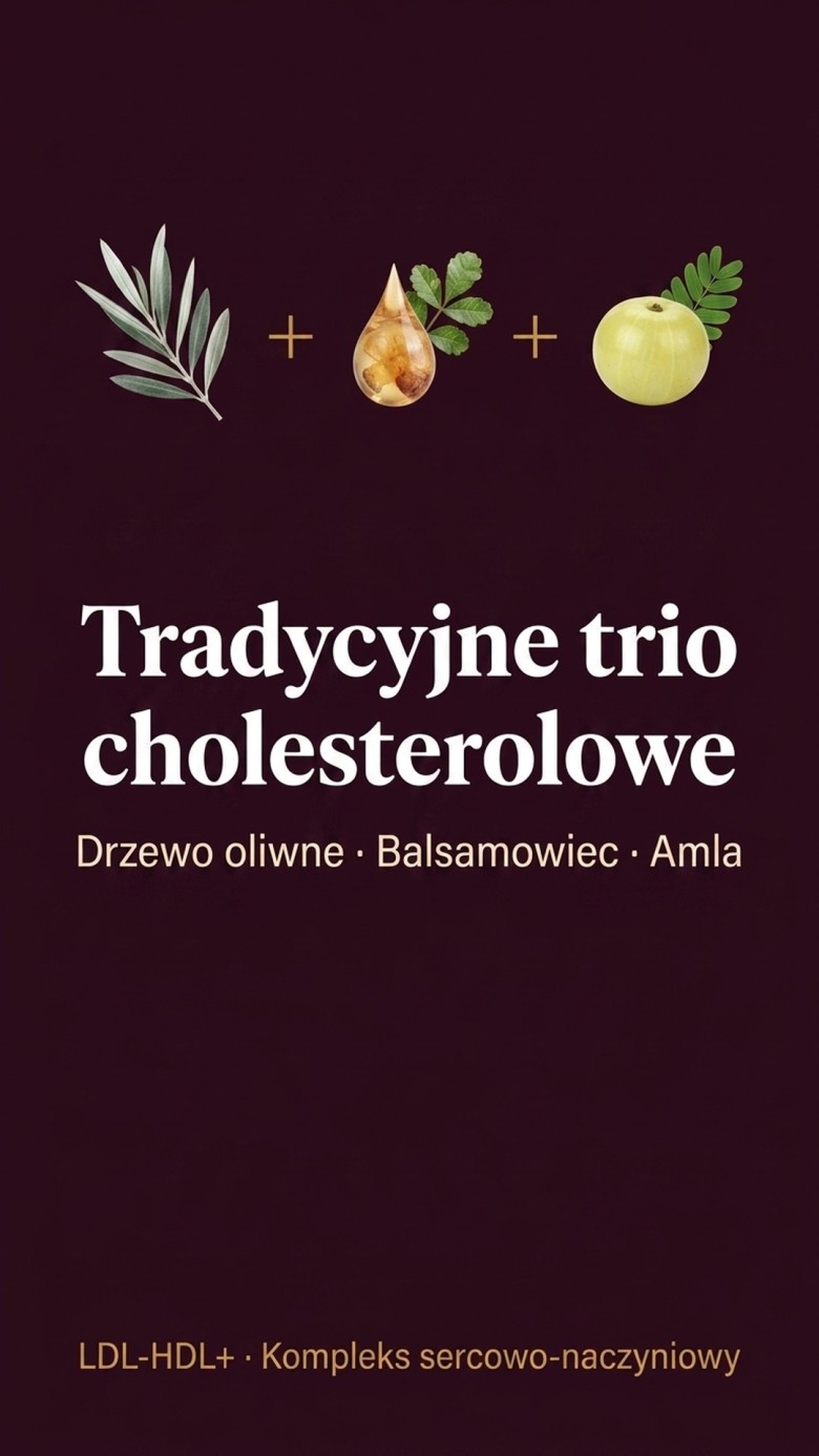 LDL-HDL+ - Drzewo oliwne + Balsamowiec + Amla na prawidłowy cholesterol
