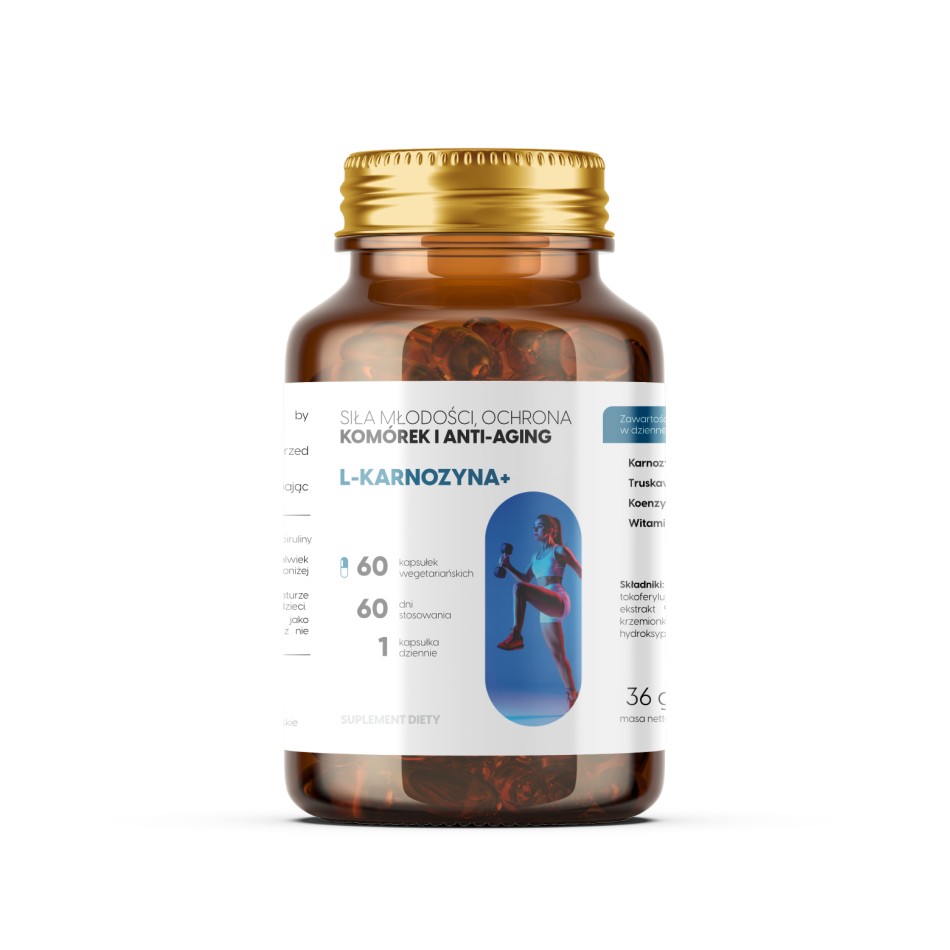 Viloway - L-Carnosine+ - Carnosine 400 mg + Fisetin + CoQ10 for Smart Aging