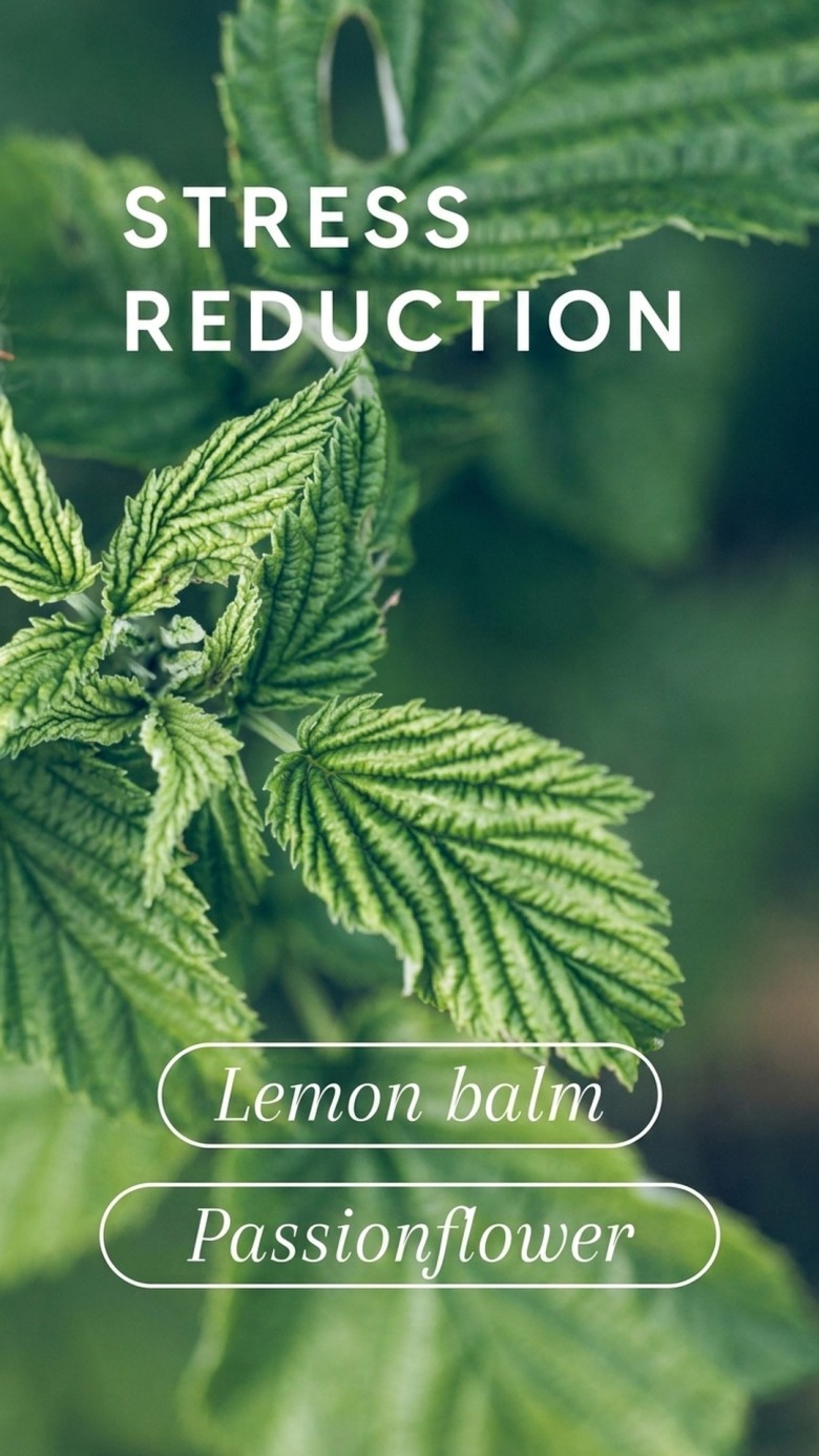 Neurostress+ - Passionflower + Saffron + Inositol for Stress Relief