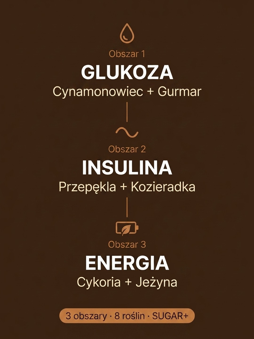 Dla kogo Sugar+
