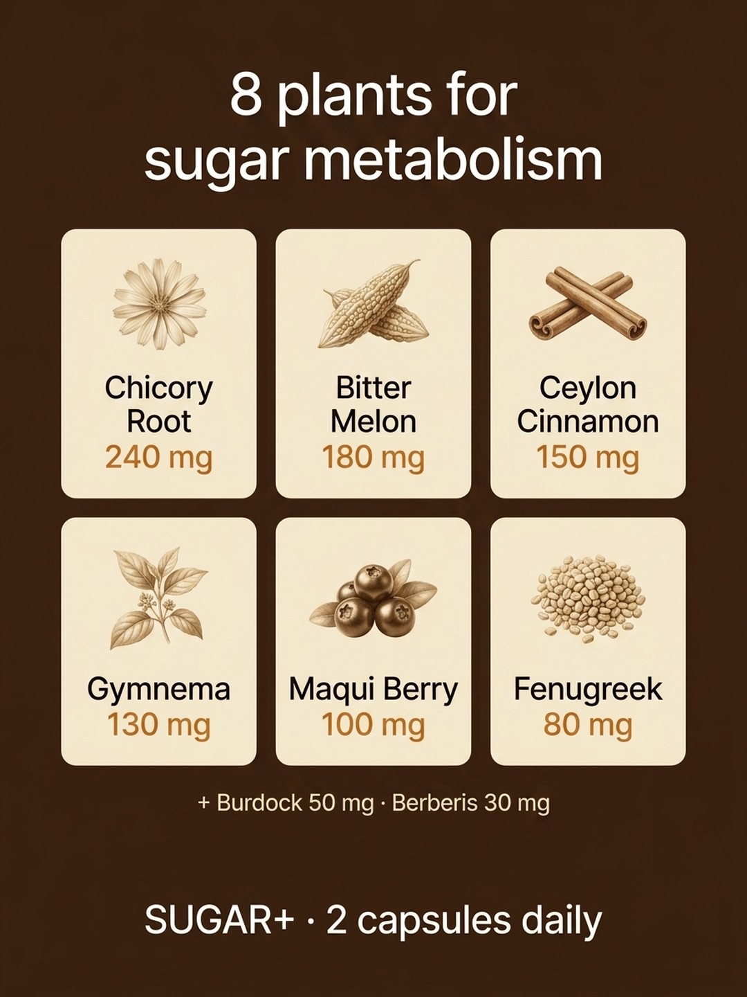 Who is Sugar+ for?