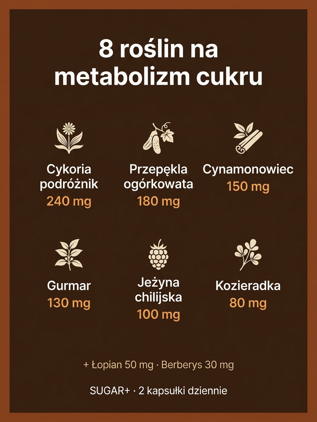 Dla kogo Sugar+