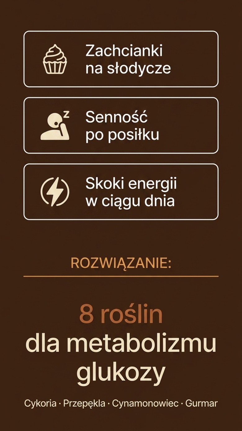 Sugar+ - Cykoria + Przepękla + Cynamonowiec na prawidłowy metabolizm cukru