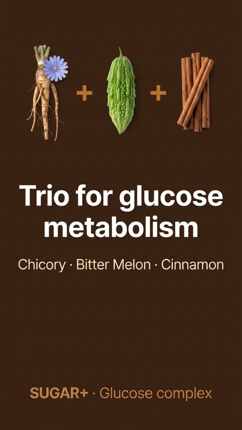 Sugar+ - Chicory + Bitter Melon + Cinnamon for Healthy Sugar Metabolism
